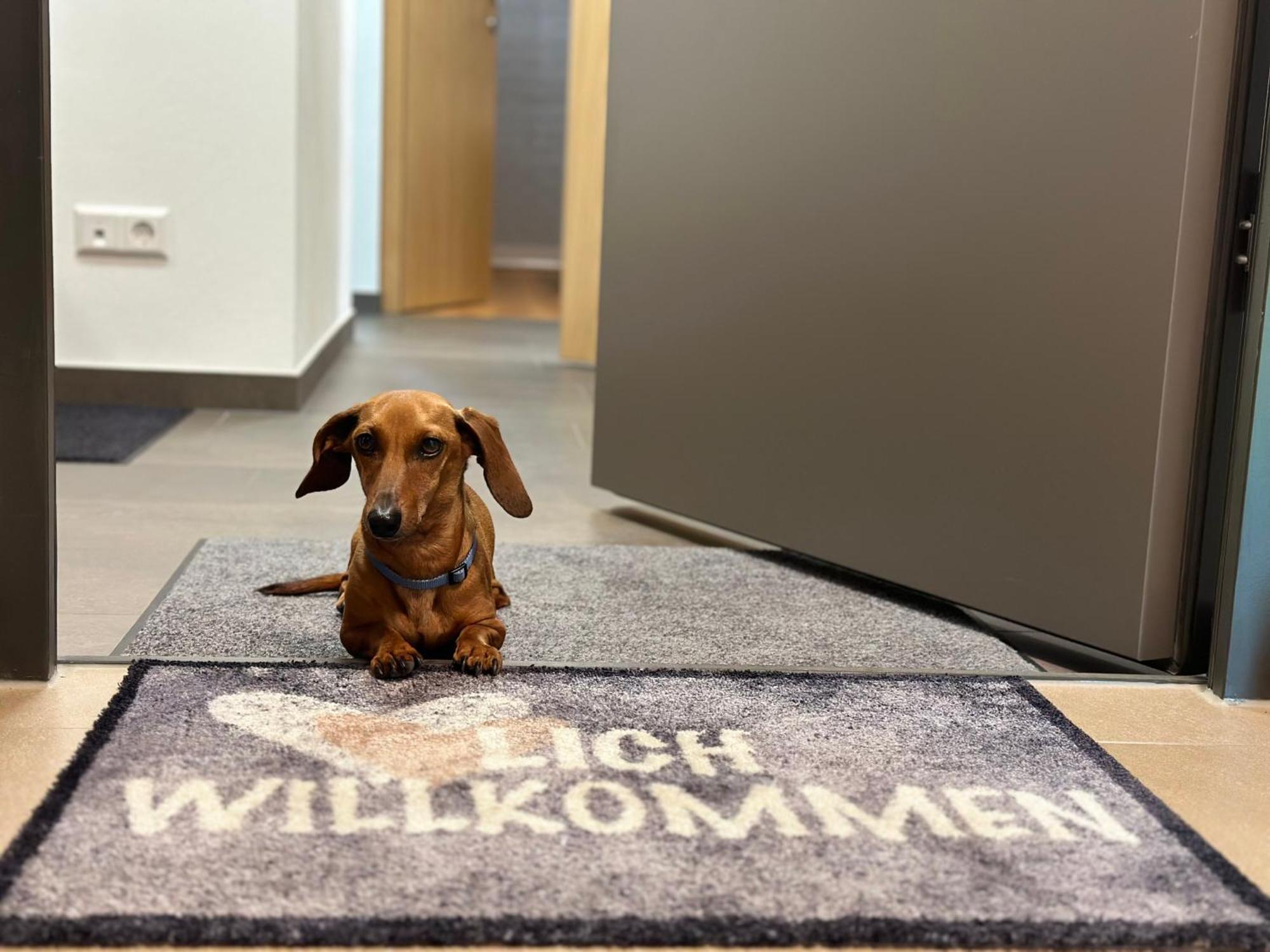 Ferienwohnung Im Glockenziel Engen Exteriér fotografie